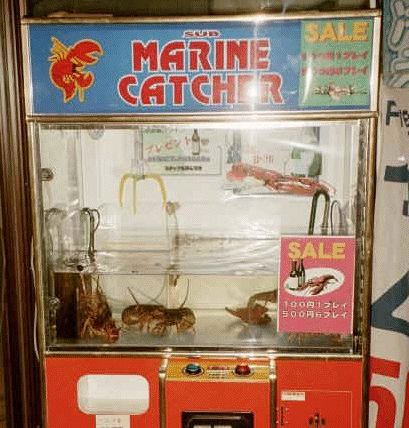 'This bizarre game was found in a video arcade in Sapporo and sent in by Tom Krolak. It’s based on the popular UFO Catcher games and you have to manoeuvre the yellow claw to try and grab one of the lobsters. It costs 100 yen for one try or 500 yen for six.' This picture shamelessly ripped from: quirkyjapan Hummer fangen
